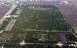 秦始皇陵墓被发现几十年后为什么考古学家不挖呢？